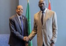 Nairobi : l’Union africaine mise sur la Guinée comme acteur clé des transitions en Afrique de l’Ouest