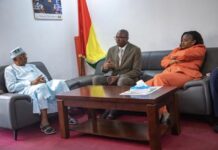 RGE-1 : la Guinée veut enfin mesurer précisément son secteur privé